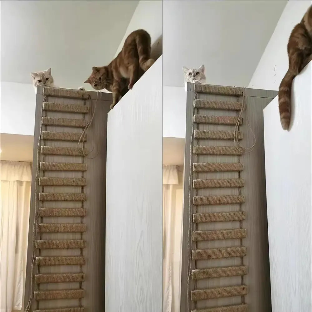 Wall‑Mount Cat Rope Ladder Bridge Cat Scratching Toy Furniture
