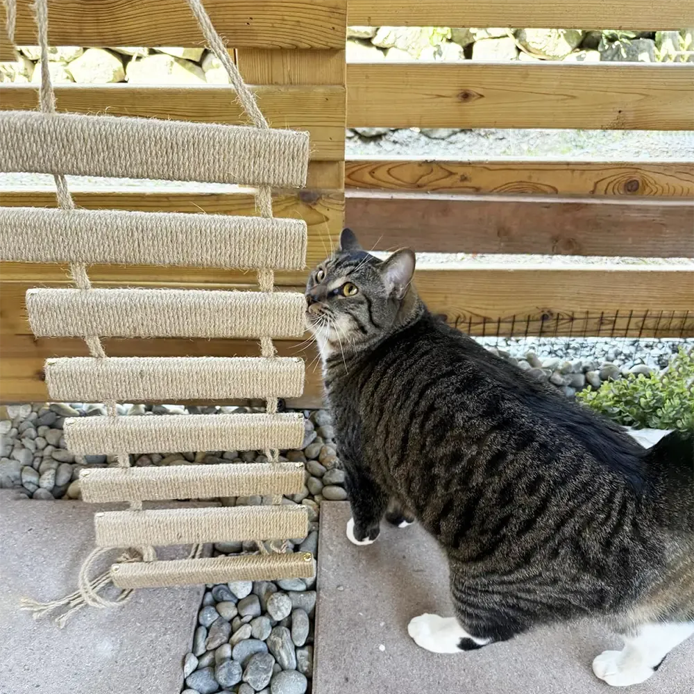 Wall‑Mount Cat Rope Ladder Bridge Cat Scratching Toy Furniture